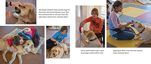 Can We Help?: Kids Volunteering to Help Their Communities - Image 2