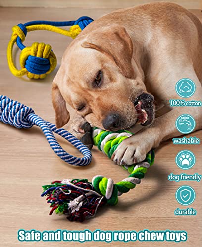 Robust Chew Toy Bundle