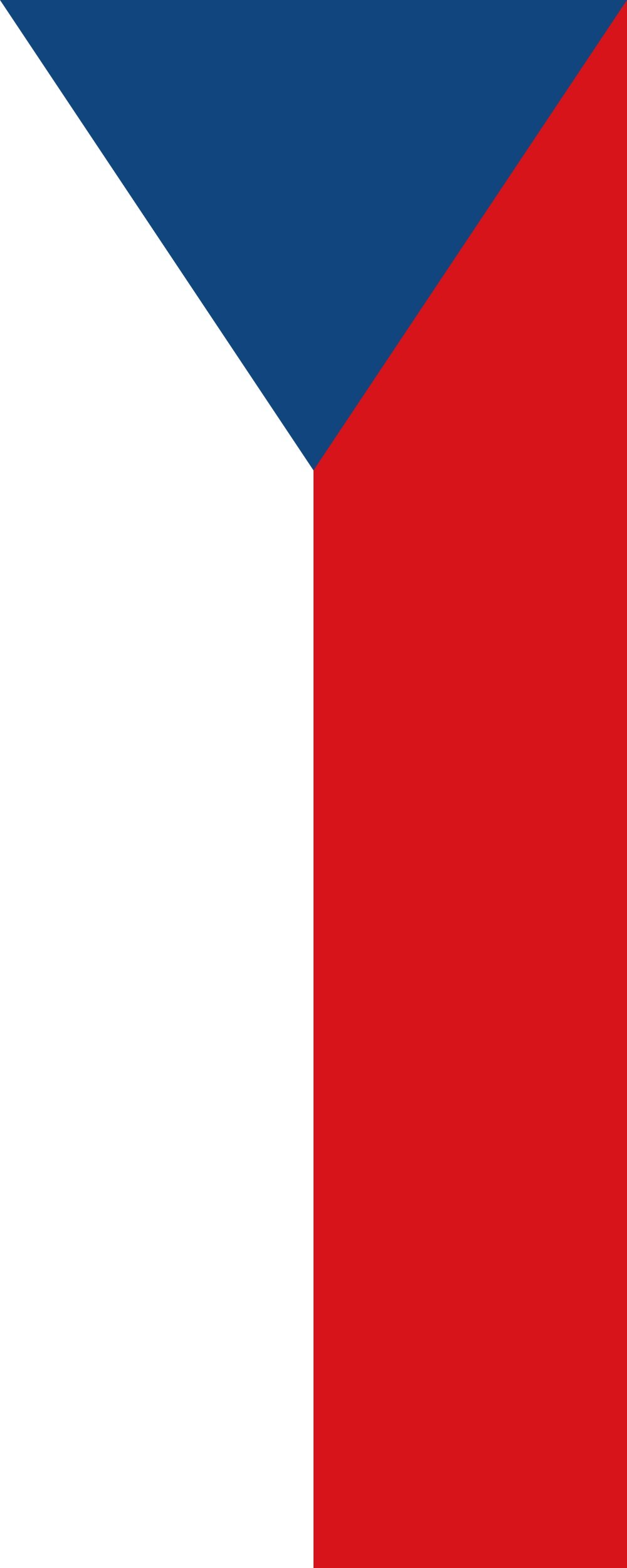 Drapeau la Tchéquie anti-effilochage qui résiste au vent fort et aux UV