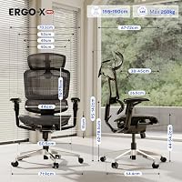 FLEXISPOT ErgoX Pro Ergonomischer Bürostuhl Schwarz – Ansicht 2