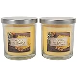 DII Home Traditions Single Wick Evenly Burning Highly Scented Jar Candle, Set of 2 (8 Oz Each) - Aloha Pineapple