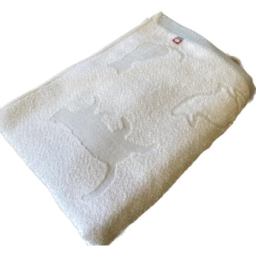 A[hG[[^I]^I ^Ot oX^I L lRcO[ { maide in japan