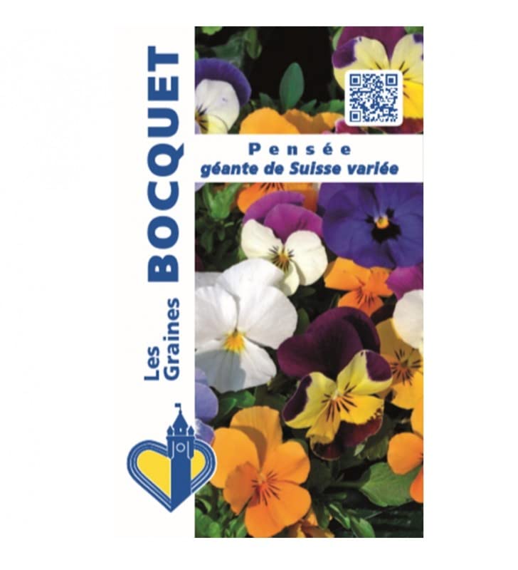Sachet de graines de Pensée géante de Suisse variée - 0,5 g - fleur bisannuelle - LES GRAINES BOCQUET