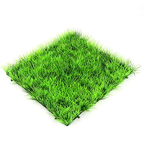 Our Top 10 Best Artificial Grass For Aquarium On The Market D and T