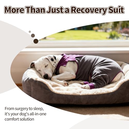 Image of FUAMEY Dog Recovery Suit with Rear Leg Sleeve Dog Onesie After Surgery | Zip-Up Dog Onesies for Female Male Spay Neuter Surgery,Dogs Pants to Prevent Licking Wounds on Thigh Incision Joints Grey XL