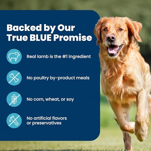 Image of Blue Buffalo Life Protection Formula Lamb & Brown Rice Adult Dry Dog Food, Supports Immunity with Antioxidant-Rich LifeSource Bits, Promotes Healthy Muscle Development, Skin & Coat Health, 40 lbs.