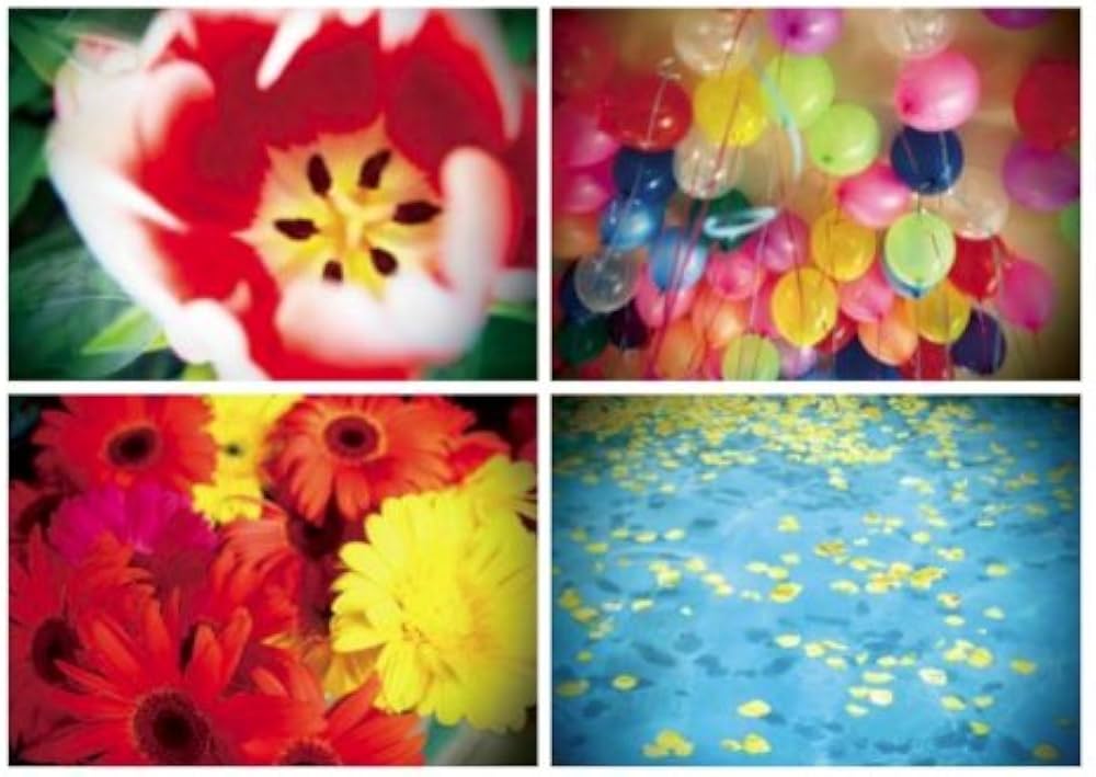 ニナデジ | 蜷川実花, MATOI PUBLISHING |本 | 通販 | Amazon