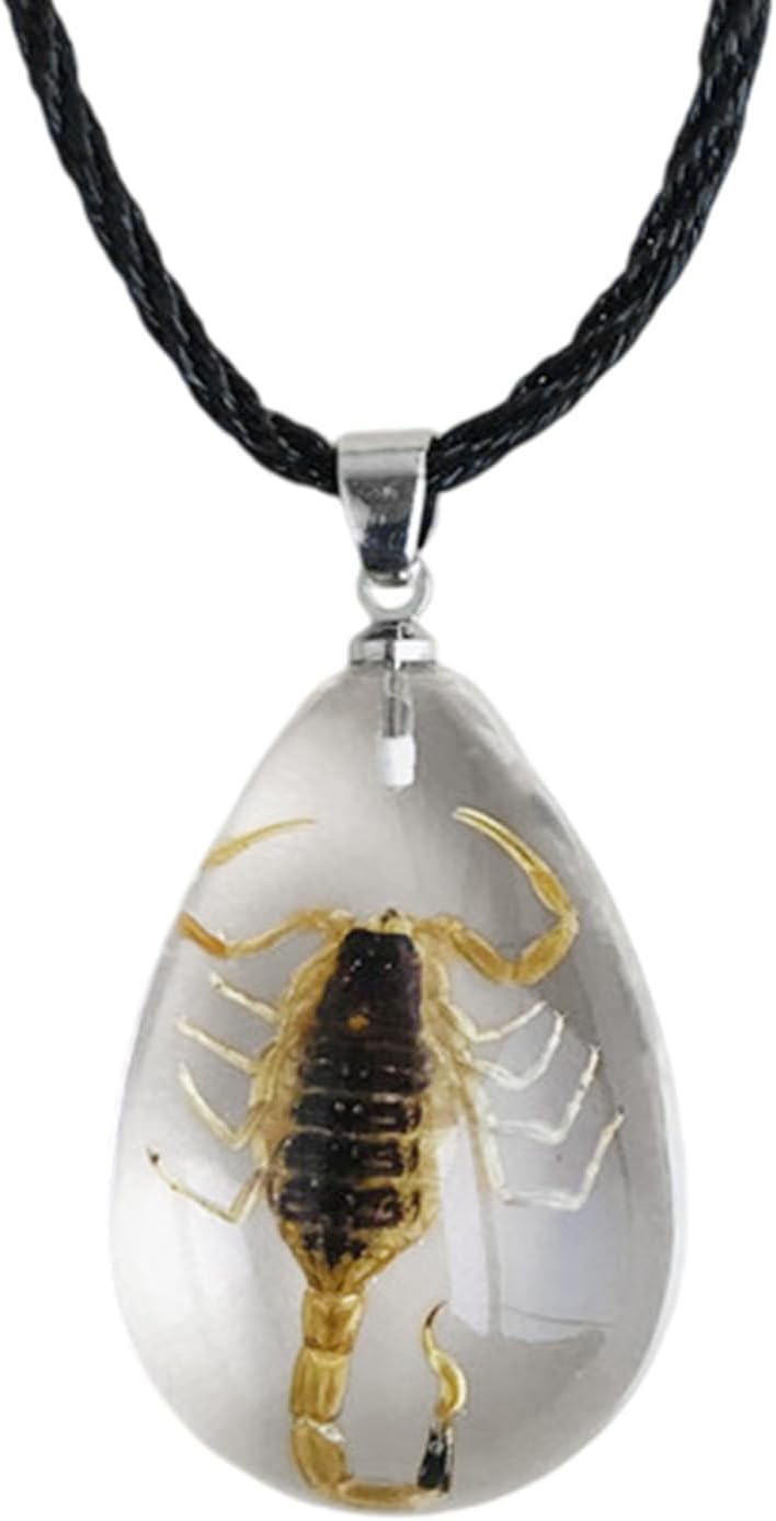Real Scorpion Pendant Necklace for Men and Women - Resin Bug Necklace, Scorpion Pendant Necklace - Amber Insect Necklace