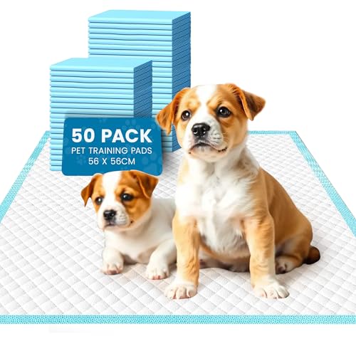Cool Paws Puppy Pads - Ultra-Thick, Leakproof, and Odour-Locking Training Pads for Dogs & Puppy, Fast-Drying, Tear-Resistant, Eco-Friendly, Disposable, Medium 50 Pack