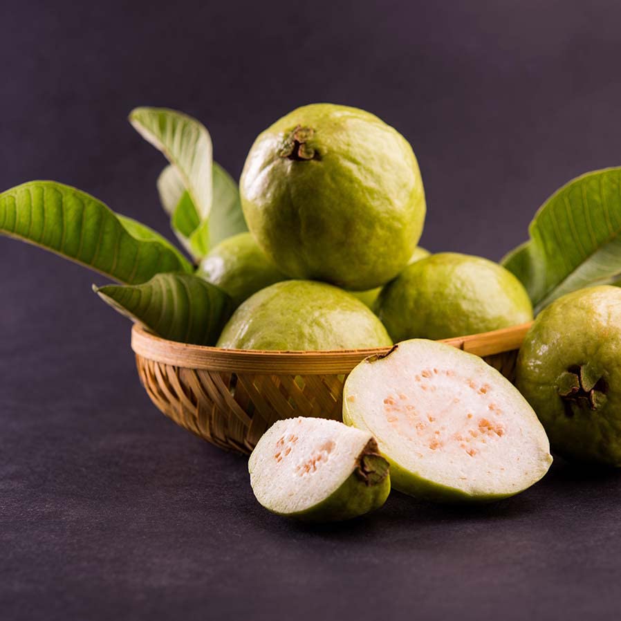HN Organics White Grafted Guava Fruit Plant with (Big Pot) for Outdoor Home Garden (Amrudh) (B0BPMS6KYN) Amazon Price History, Amazon Price Tracker