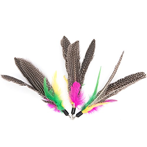[MorePets] 3 Pack Daily Premium Handmade Da Bird Cat Teaser Wand Compatible Toy Spinning Feather Refill