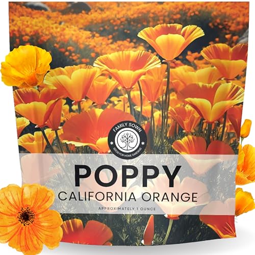 California Poppy Orange - Large 1 Ounce Packet - 20,000 Flower Seeds for Planting - Eschscholzia...