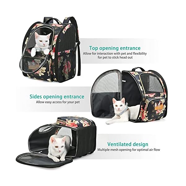 SUPPETS-Cat-Backpack-Airline-Approved-Carrier-Backpack-for-Small-Dogs-Carrier-with-Ventilated-Design-Collapsible-and-Waterproof-Pet-Bag-Carrier-with-Washable-Pad-for-TravelHikingOutdoor SUPPETS Cat Backpack Airline Approved Carrier - Best Travel Bag for Small Dogs