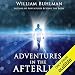 Adventures in the Afterlife