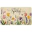 Tulip Lavender
