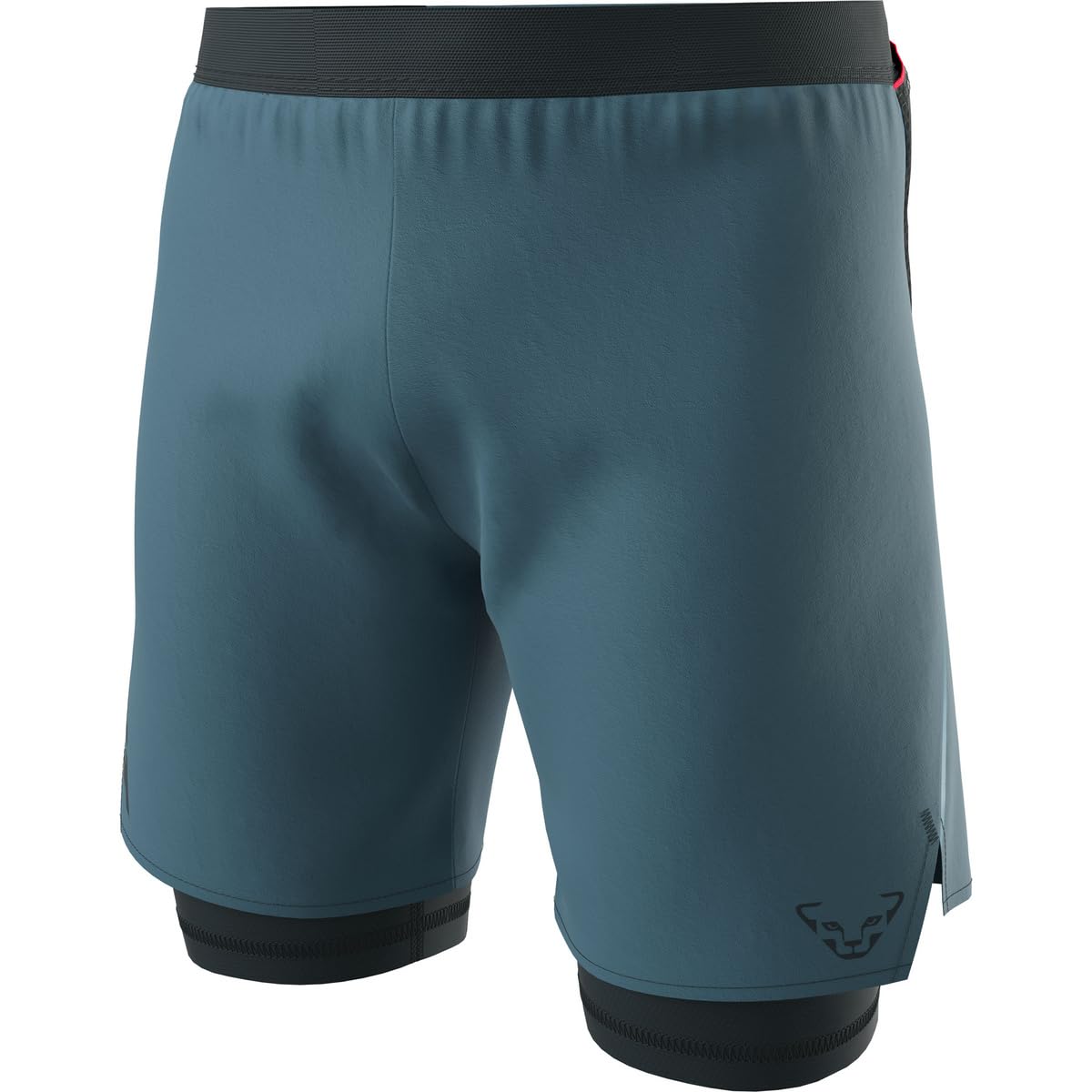 DYNAFIT Alpine Pro 2/1 Shorts M - Szorty Mężczyźni