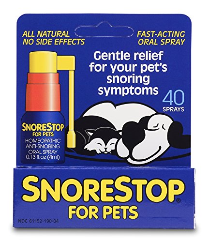 Best Snoring Solution For Dogs