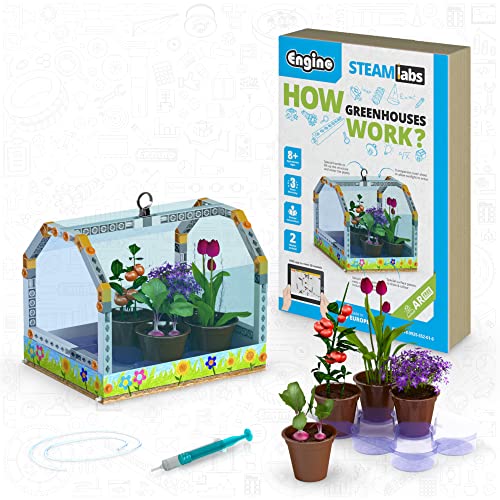 Engino: STEAM Labs Junior: How Greenhouses Work - Model Brick Building Set, Toybook Series, Experiment & Art Activities, Play & Learn Science, Kids 8+