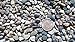 5 lbs. of Small River Pebbles (Triple Washed) from Northern Michigan Succulents, Cactus or Bonsai, Fairy Gardens, Terrariums | Safe & Non-Toxic