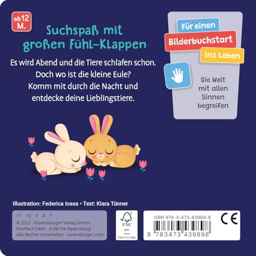 Wo bist du, kleine Eule?: Mit großen Fühl-Klappen