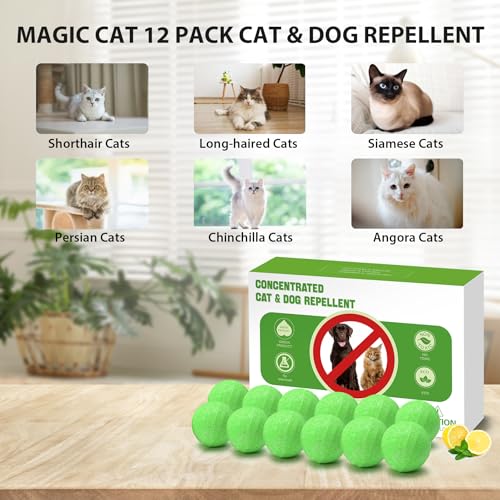 Cat-Repellent-Outdoor-12-Pack-Peppermint-Oil-Cat-Deterrent-Indoor-for-Home-to-Protect-Furniture-Curtain-Pet-Family-Safe-Dog-Repellent-to-Keep-Feral-Cats-Stray-Dogs-Out-of-Yard-Garden-Lawn - Cucciolini Doodles Cat-Repellent-Outdoor-12-Pack-Peppermint-Oil-Cat-Deterrent-Indoor-for-Home-to-Protect-Furniture-Curtain-Pet-Family-Safe-Dog-Repellent-to-Keep-Feral-Cats-Stray-Dogs-Out-of-Yard-Garden-Lawn