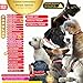 Best Handmade Trump 2024 Dog Collar and Leash Set Option - Adjustable MAGA dog collar- 40 Trendy Cute Custom Embroidery Phrases Options for Giant-Large-Medium-Small Dogs - President 47- ICE ICE BABY - Perfect for Christmas-Dog Lover-Gifts (Large (1 x 15-24