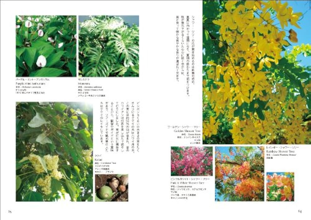 Hawaii de 花散歩 Hawaii de 花散歩 | Hiroshi Makaula Nakae |本 | 通販 | Amazon