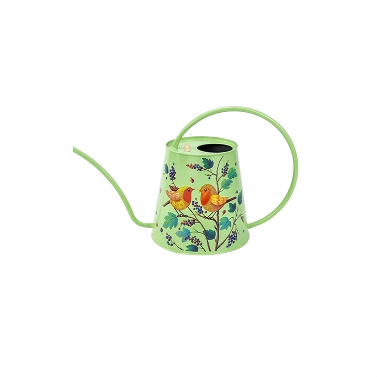 Arrosoir 2L Arrosoir en Acier Inoxydable, Intérieur Extérieur for Plantes d'intérieur Long Bec Canette d'eau for Bonsaï Succulent Fleur de Jardin pulvérisateur de Jardin