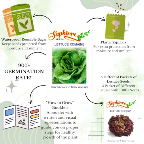 Image of Saphirre Seeds Easy to Grow 5 Lettuce Seeds Combo| Seeds for Home Garden| Lettuce Grand Rapid, Red (Lollo Rosso), Butter Head, Iceberg, Romaine| 1000+ Seeds| Best Gift for Gardeners (Seeds Combo Pack)