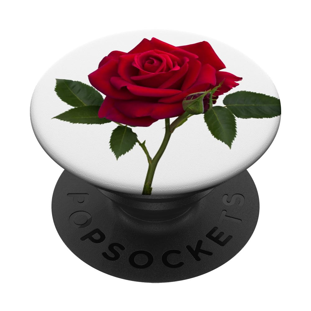 Cute Single Red Rose Buds Flower So Pretty Stem On White PopSockets PopGrip: Swappable Grip for Phones & Tablets PopSockets Adhesive PopGrip