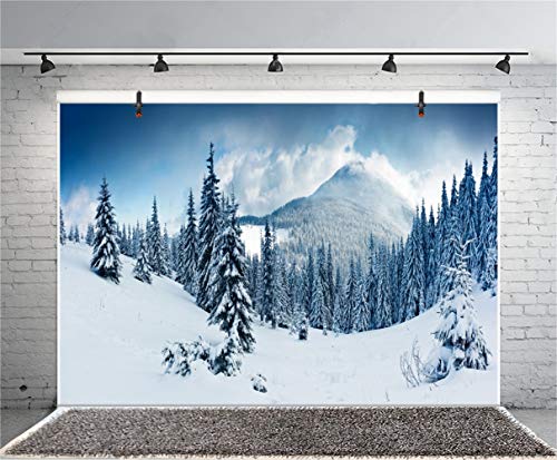 Fondo Fotográfico 10x8 FT Laeacco Diseño Invernal miniatura 4