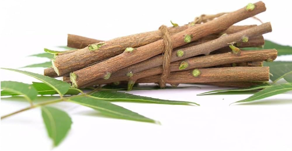 Neem Healthy Stick Natural Neem Chewing Twig for Teeth Cleaning and Mouth Freshness, 7 Inch Herbal Stick (20 Healthy Stick)-image-34