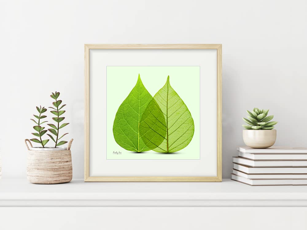 額入り　インテリア　絵では無く布です。 額入り インテリア 絵では無く布です。 額入り インテリア 絵