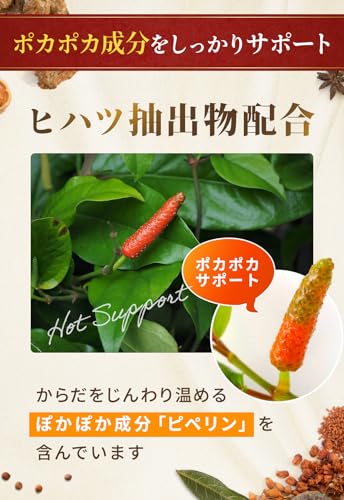 占部大観堂製薬 ホッと生姜粒