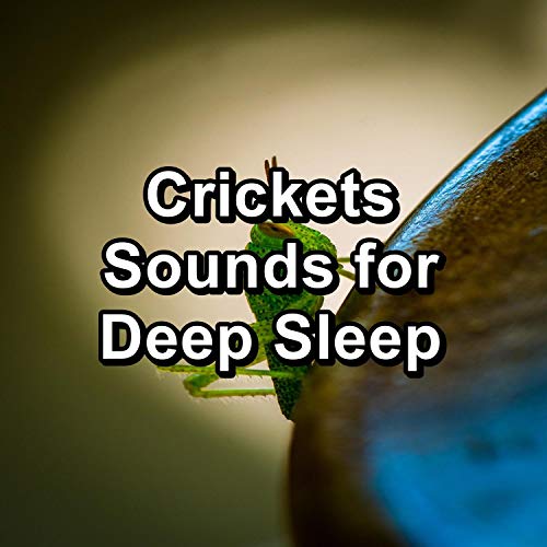 Crickets Sounds for Deep Sleep by Musica Relajante & Nature Ambience