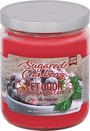 Image of Pet Odor Exterminator Candle Sugared Cranberry