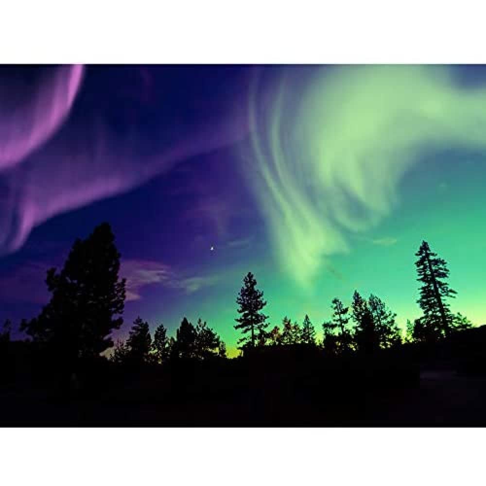 Pine Trees Silhouette Northern Lights Unframed Art Print Poster Wall Decor 12x16 inch