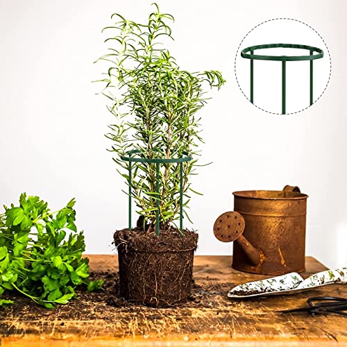 Produktbild von Pflanzenstütze Rankhilfe Pflanzenhalter Blumenstütze 12x Rankgitter Kunststoff E