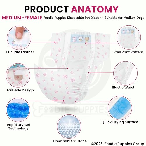Image of Foodie Puppies Dogs Disposable Diapers for Female Dog - (10Pcs, Medium) | Diaper Pants /Sanitary Cotton Underwear Nappy | Leak-Proof, Ultra-Absorbant | Daily and Travelling Purpose