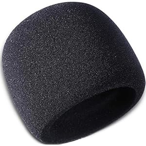 MINTHE™ Blue Yeti Mic Cover, Yeti Pro, MXL, Audio Technica and Other Large Microphones, Microphone Cover Foam…