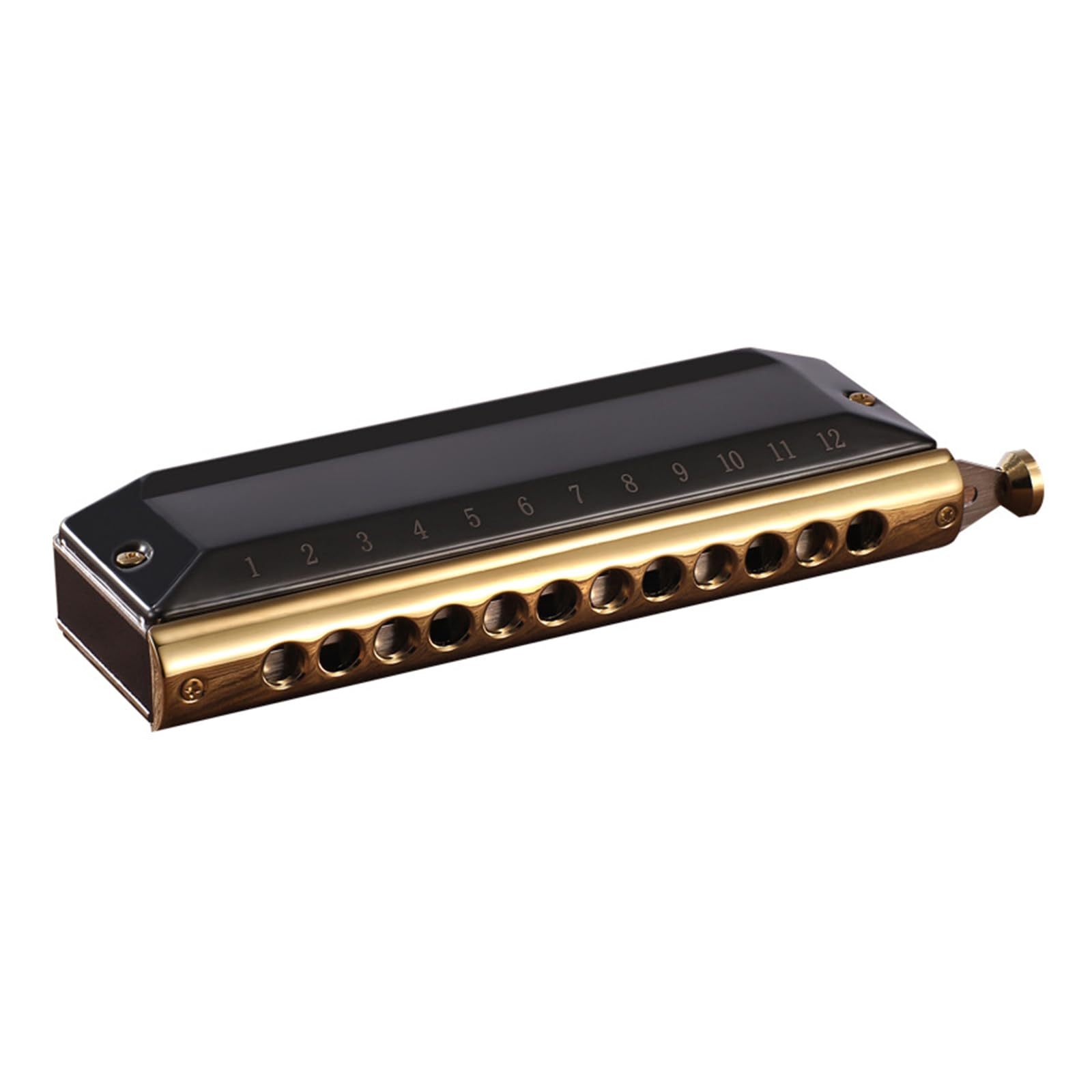 Blues Harmonica In C - Armónica diatónica de 12 agujeros, 48 tonos, órgano bucal en C, para adultos principiantes