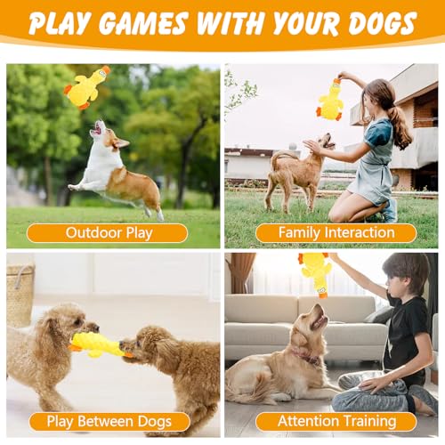RAYITO Duck Dog Toys, Yellow Squeaky Dogs Toys Interactive Dogs Toy Durable Dog Chew Toys Dogs Soft Toy with Crinkle Paper for Small Medium Large Dogs Playing and Training - Image 6