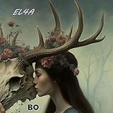  BO