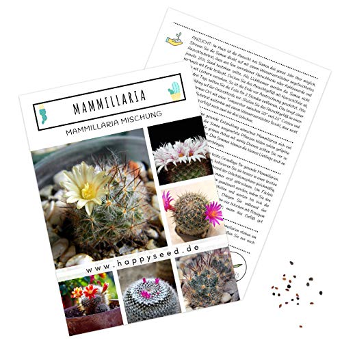 Außergewöhnliche Kakteen Samen mit hoher Keimrate - Sukkulenten Samen Set für deinen eigenen wunderschön blühenden Kaktus (1x Mammillaria)