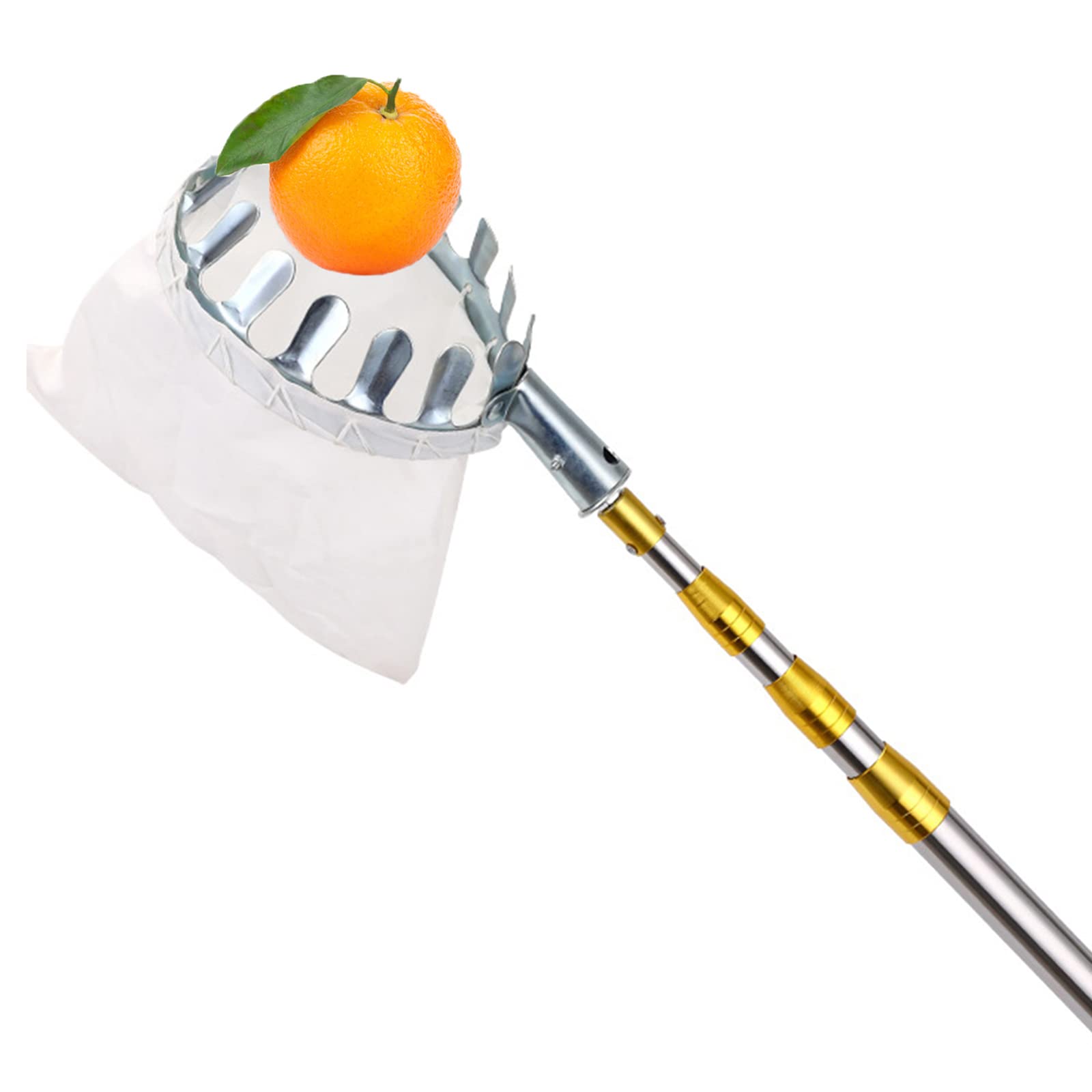 Cueille Fruits Télescopique, Poteau D'Extension Léger en Acier Inoxydable de 4 M/13 Pieds, Outil de Cueillette Jardin de Pommes,Poires,Citrons Etc pour Verger,Maison,Jardin,Ferme