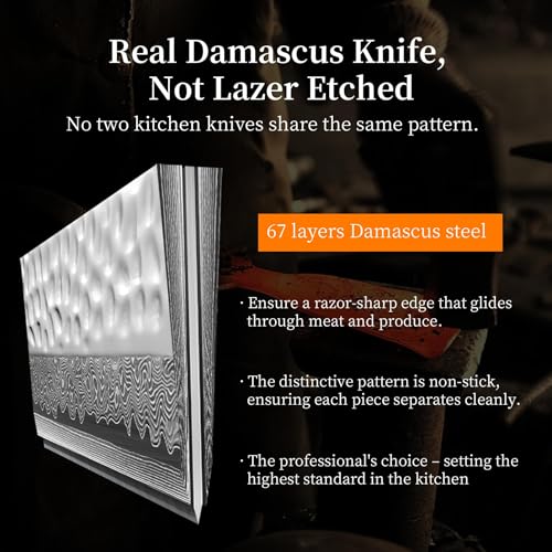 Image of 10 inch Damascus Chef Knife, Ultra Sharp 10 Edge Japanese VG10 Kiritsuke Kitchen Knife with Ash Sheath, 67 Layers Hand Forged Hammered Cooking Knife for Meat, Vegetable & Fruit, Camping & BBQ Gift