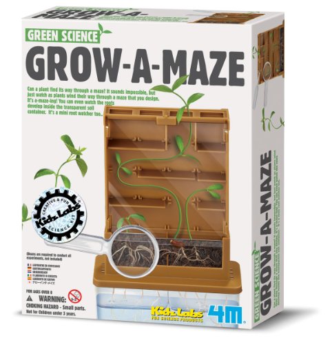 4M Grow a Maze Kit