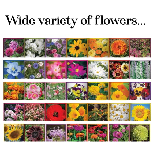 Gardeners Basics, Flower Seeds Packets for Planting 35 Individual Varieties Perennial, Annual, Wildflower Seeds for Planting Outdoors for Bees and Butterflies - Semillas de Flores Hermosas - Image 5