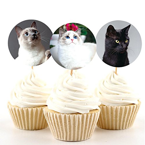 Cat Stickers Kitten Roll Sticker 200 Pcs For Kids Animal Stickers Party Favor Envelope Seal Stickers #TOP2