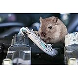 Zoom IMG-2 lampa 74529 repellente ad ultrasuoni Zoom IMG-2 lampa 74529 repellente ad ultrasuoni